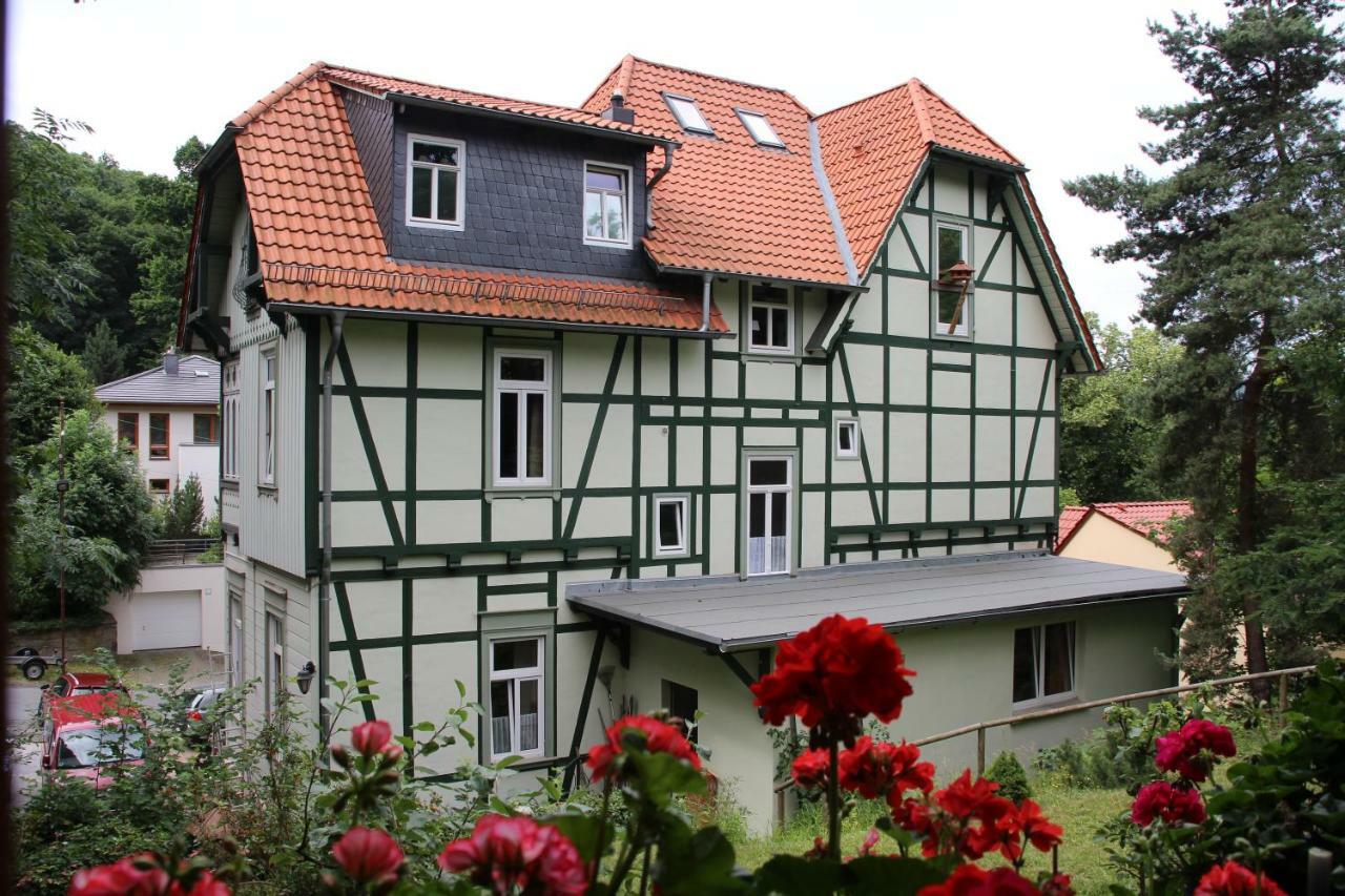 Pension Ginko Wernigerode Extérieur photo